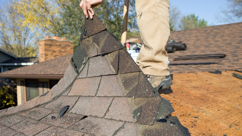 Lead Safe Renovation