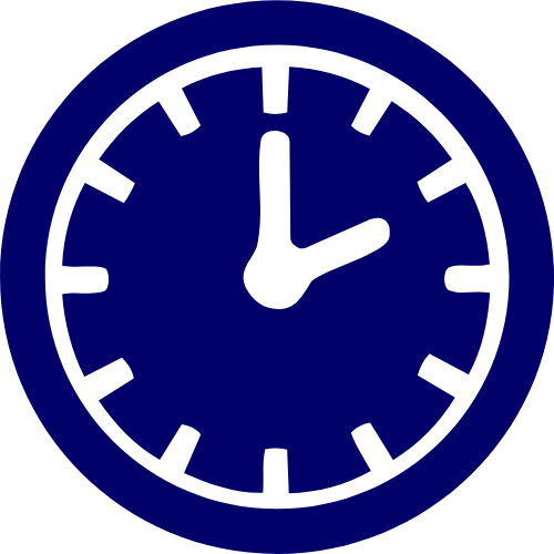 Fast Result icon